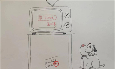 2.854億部！2024年Q2全球智能手機出貨量同比增長6.5%（薩科微7月18日芯聞）