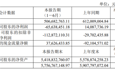 思瑞浦/南芯/帝奧微悲喜不相通，模擬電源的春天要等到2026年？